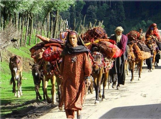 Class 7 History Chapter 5 Question Answers - Tribes, Nomads and Settled Communities
