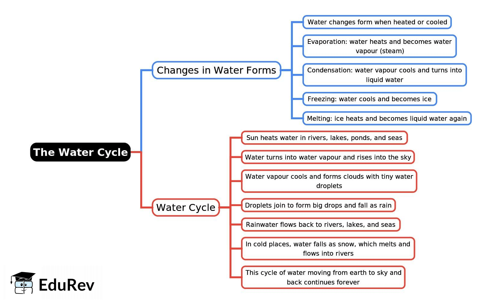 Mind Map: The Water Cycle | Science Class 2 ICSE