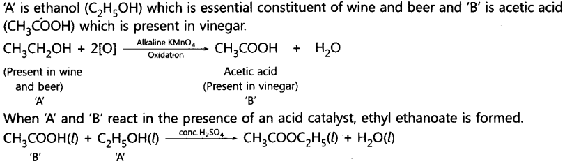 Carbon and its Compounds Important Questions Class 10 Science