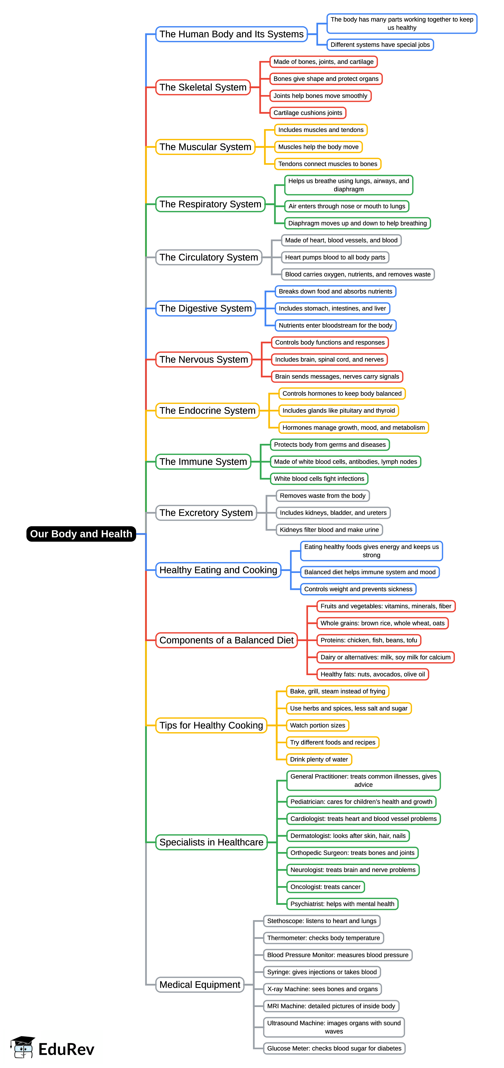 Mind Map: Our Body and Health