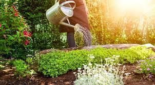 A Watering Rhyme Class 4 Worksheet English
