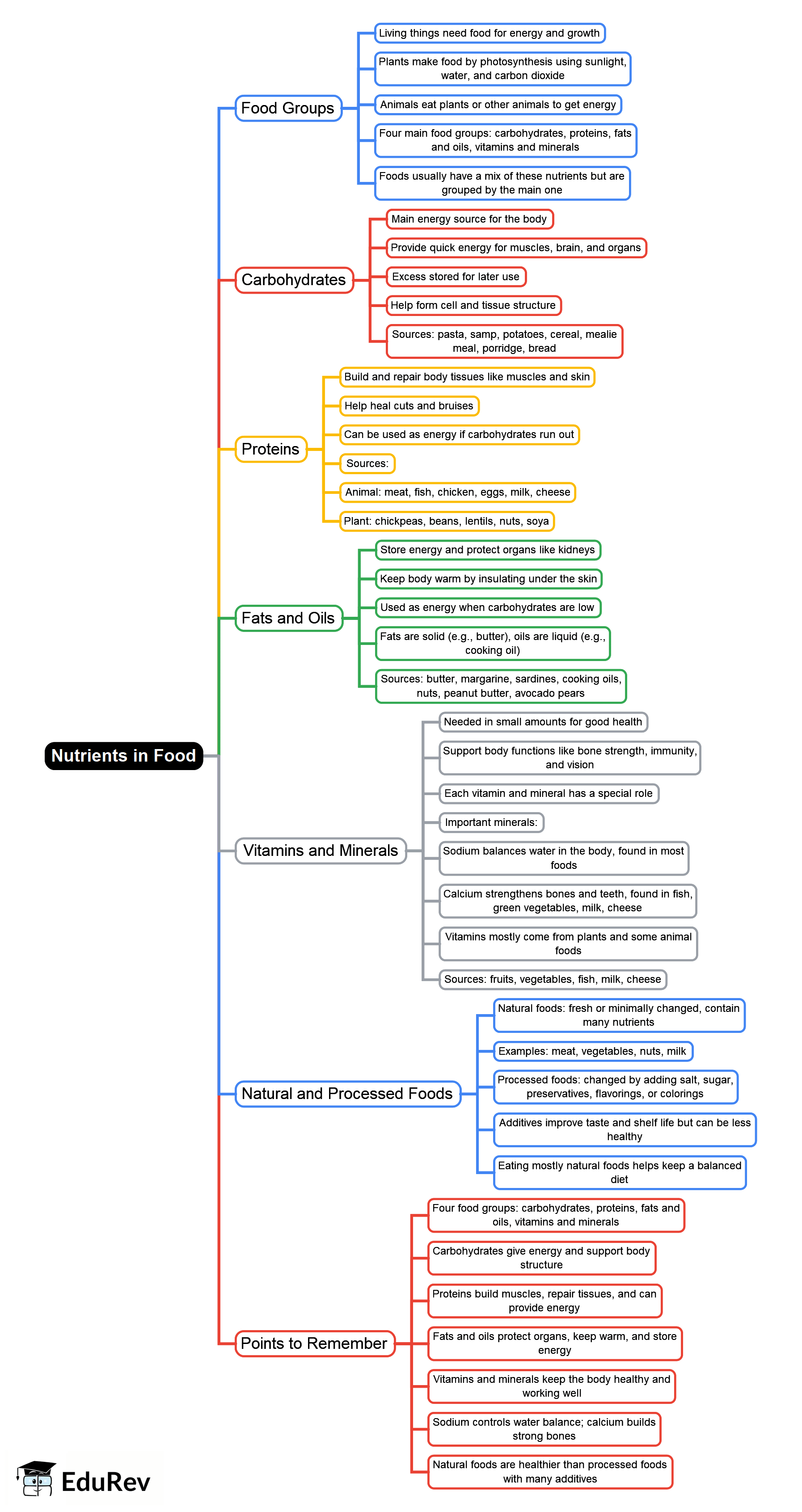 Nutrients in food Mind Map - Grade 6 PDF Download