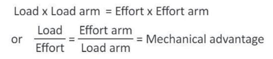 Simple Machines Chapter Notes | Physics Class 6 ICSE