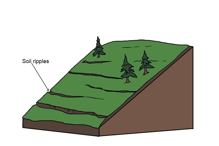Geomorphic Processes - 2 Class 11 Geography