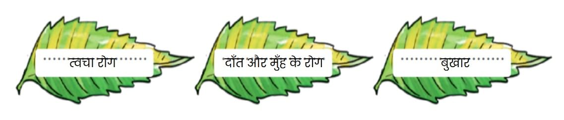 NCERT Solutions for Class 4 Hindi Chapter 3 - नीम
