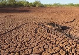Difference between droughts and famine