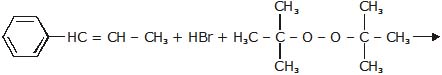 Hydrocarbons, CBSE, Class XI, IIT JEE, Syllabus, Preparation, AIPMT, NCERT, Important, Alkanes, Alkenes, Alkynes