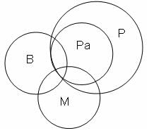 Syllogism Questions for CAT with Answers PDF