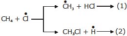 Hydrocarbons, CBSE, Class XI, IIT JEE, Syllabus, Preparation, AIPMT, NCERT, Important, Alkanes, Alkenes, Alkynes