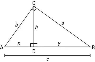 Class 7 Maths Chapter 7 Worksheet Solutions - A Tale of Three Intersecting Lines