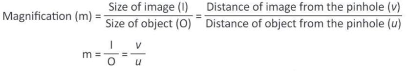 Light Chapter Notes | Physics Class 6 ICSE
