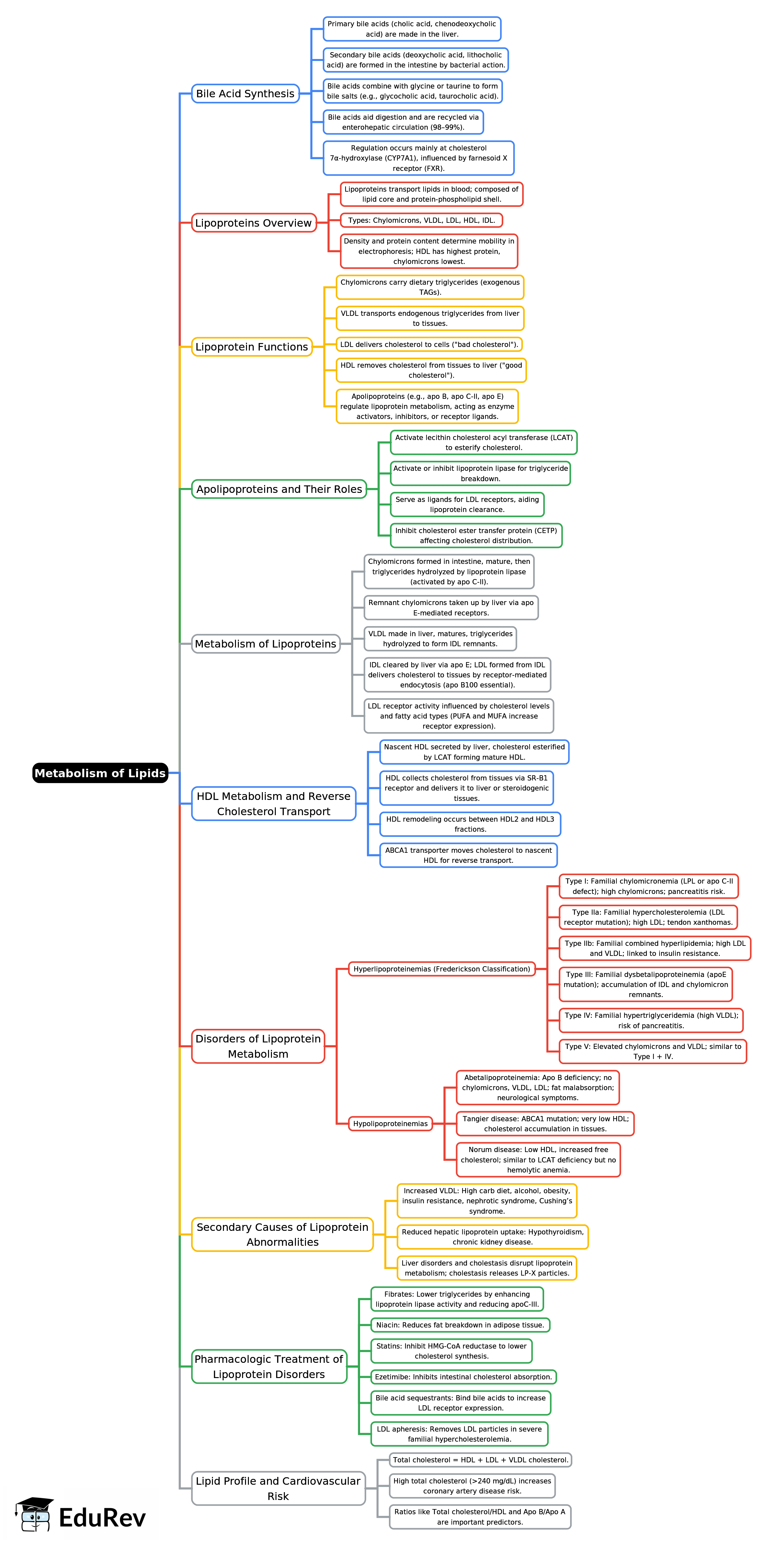 Mind Map: Metabolism of Lipids -2 | Chemistry for ACT
