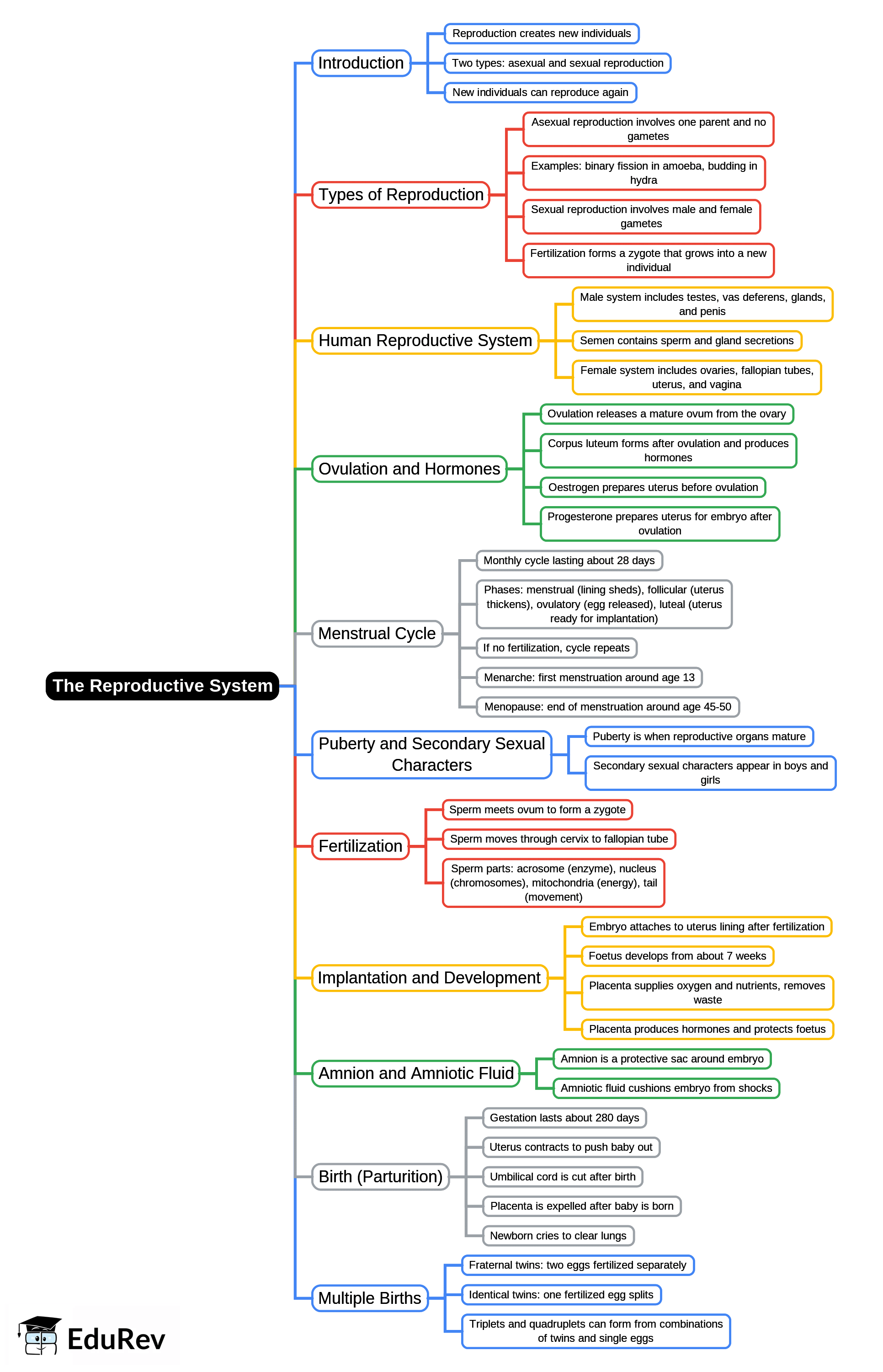 Mind Map: The Reproductive System | Biology and Biochemistry for MCAT