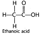 Carbon and its Compounds Important Questions Class 10 Science