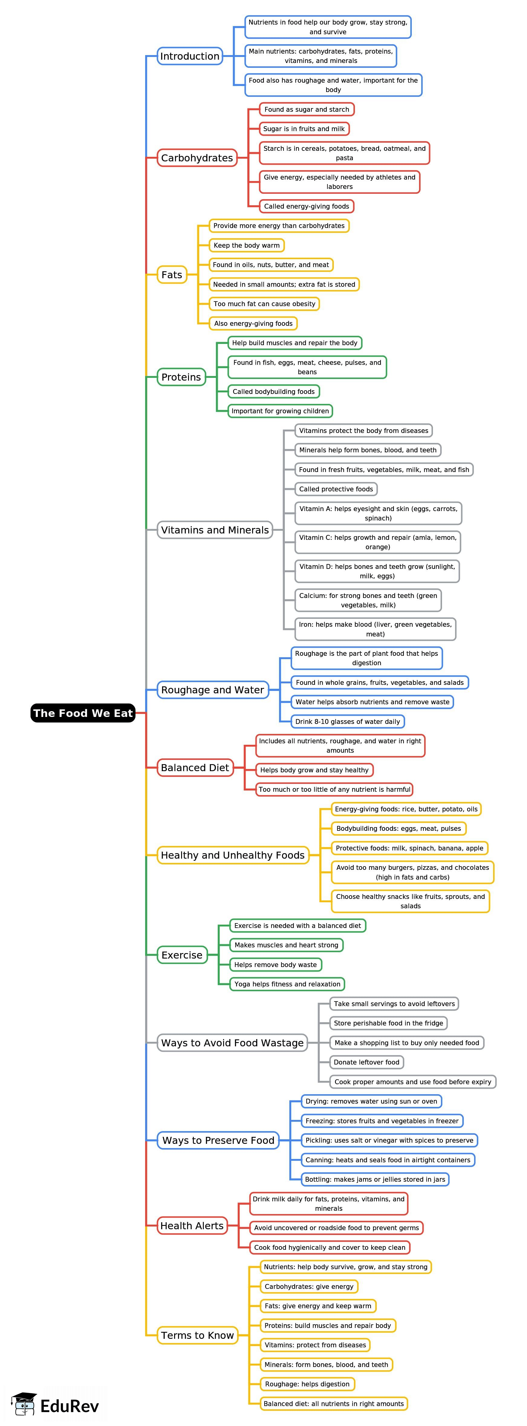 Mind Map: The Food We Eat | Science Class 4 ICSE