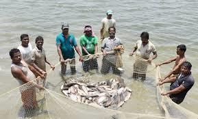 Rajasthan - Fishing | RPSC Preparation: All subjects - RPSC RAS (Rajasthan)