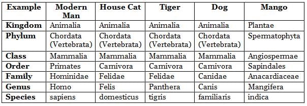 Five Kingdom Classification Chapter Notes | Biology Class 9 ICSE
