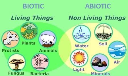 The Living Organism and Their Surroundings Class 6 Worksheet Science