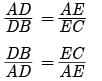 Class 10 Maths Chapter 6 Assertion and Reason Questions - Triangles