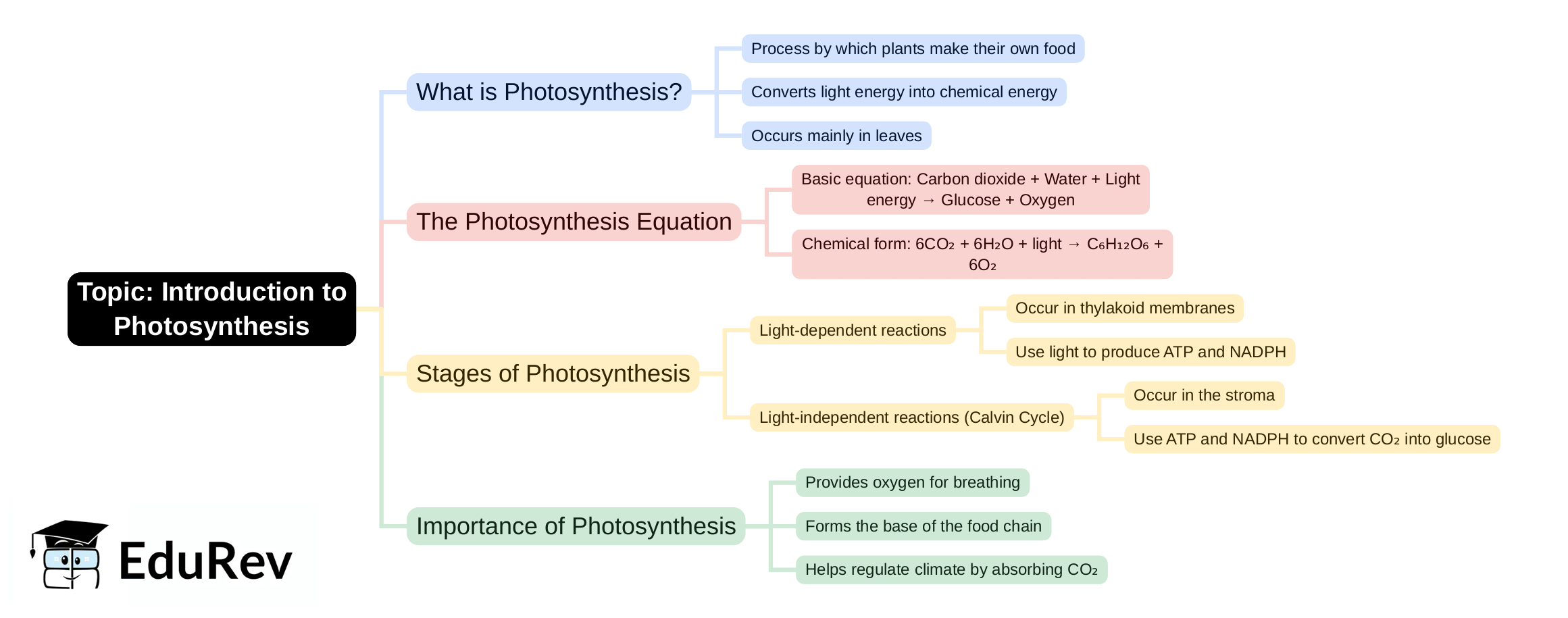 Mind Map - PDF Download