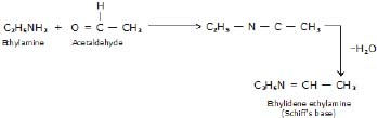 CBSE, Class 12, IIT JEE, Syllabus, Preparation, AIPMT, NCERT, Important, Amines, Compounds containing Nitrogen