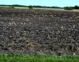 Q2: Multiple Choice Questions (MCQs).