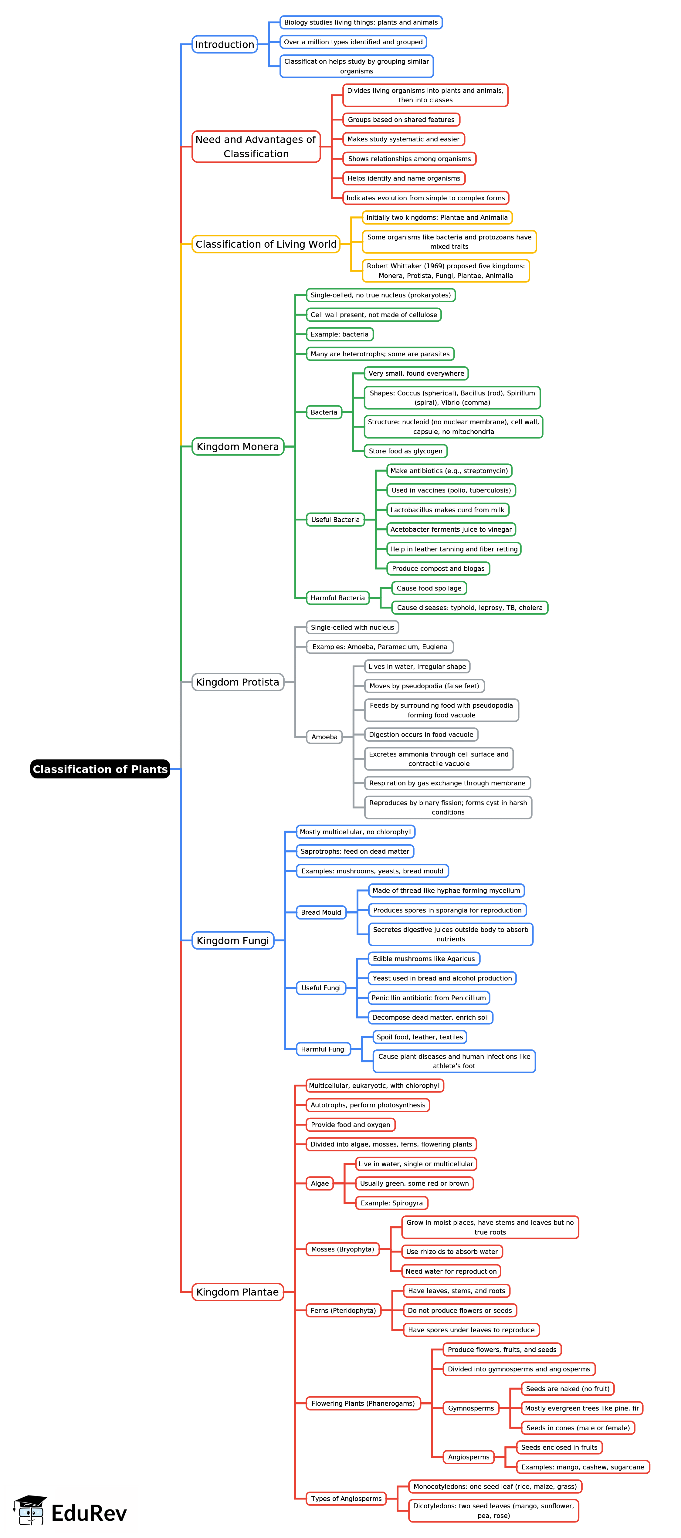 Mind Map: Classification of Plants | General Awareness for SSC CGL