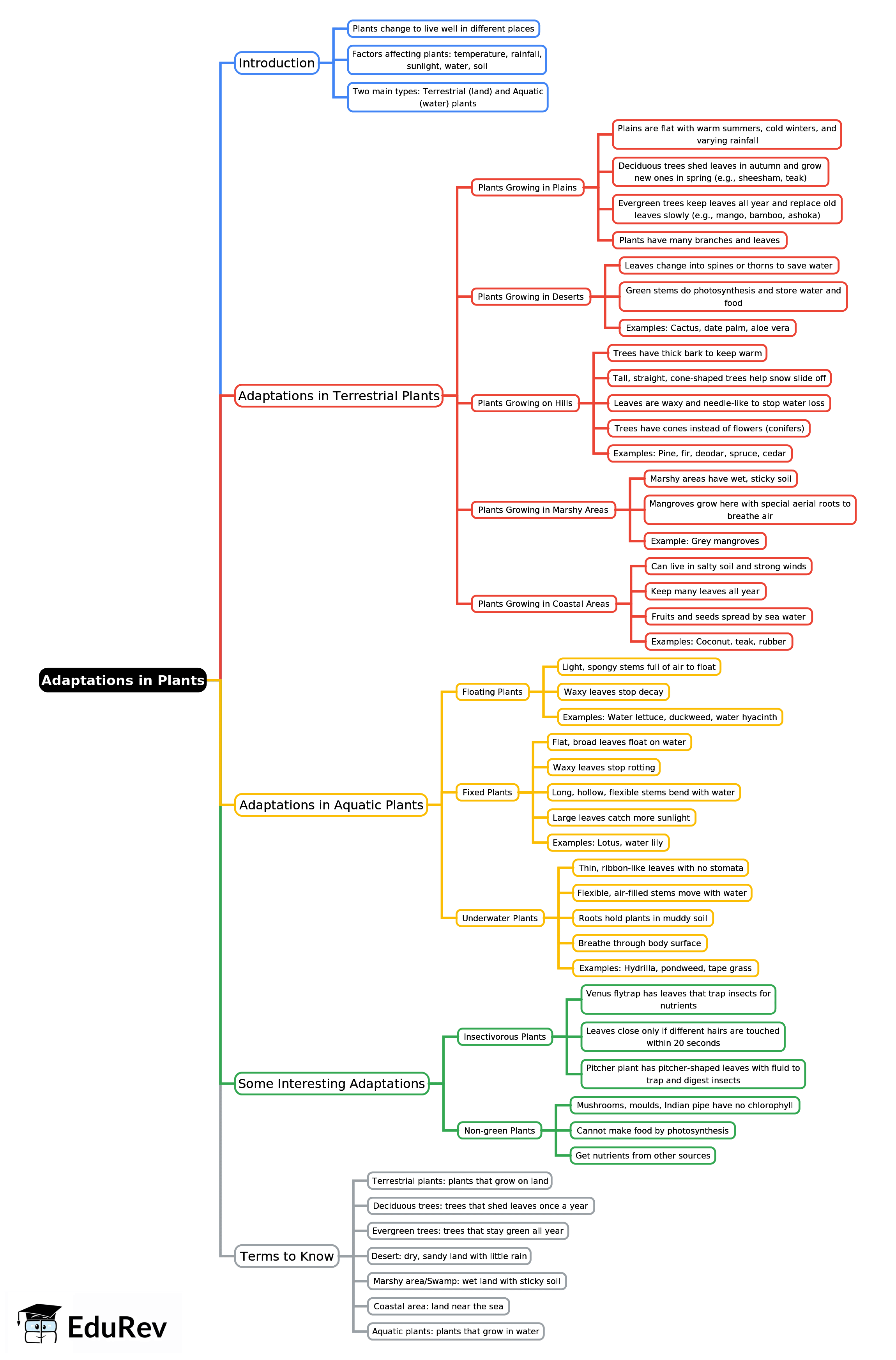 Mind Map: Adaptations in Plants