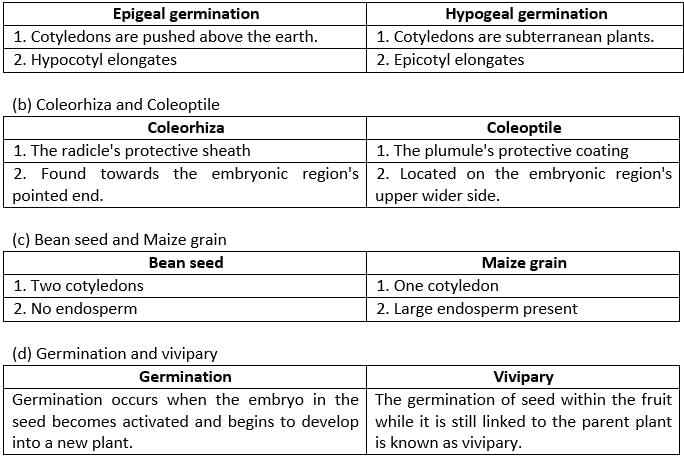 Revision Notes: Seeds Structure And Germination | Biology Class 9 ICSE
