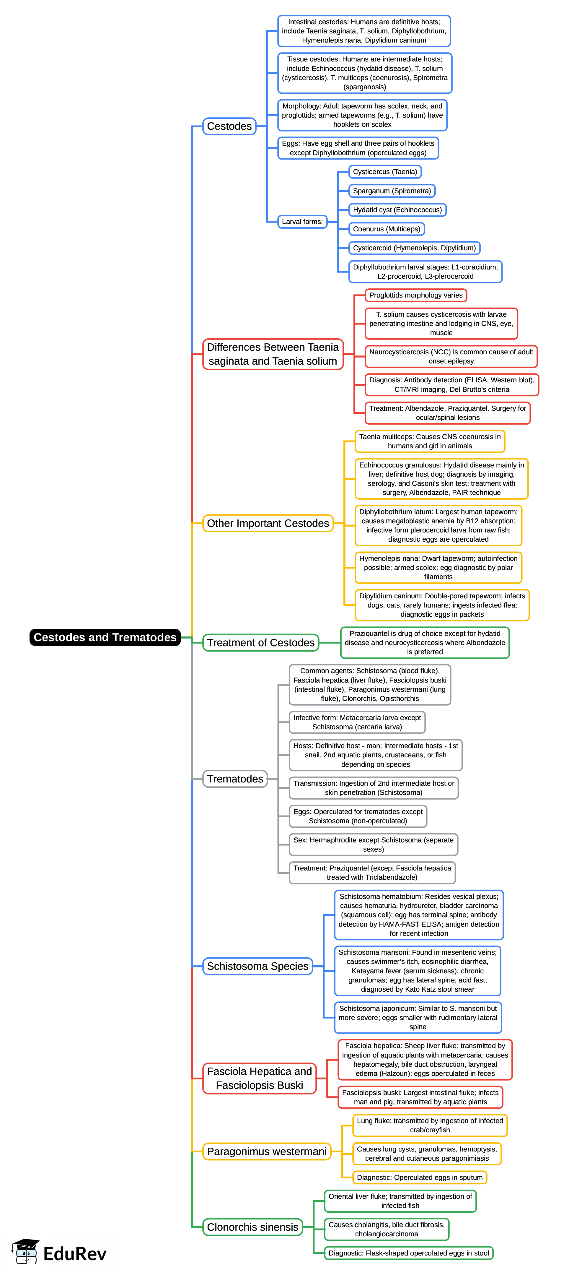 Mind Map: Cestodes and Trematodes | Microbiology - NEET PG