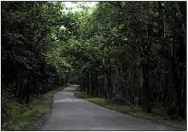 Forest Tourist Places in Andhra Pradesh