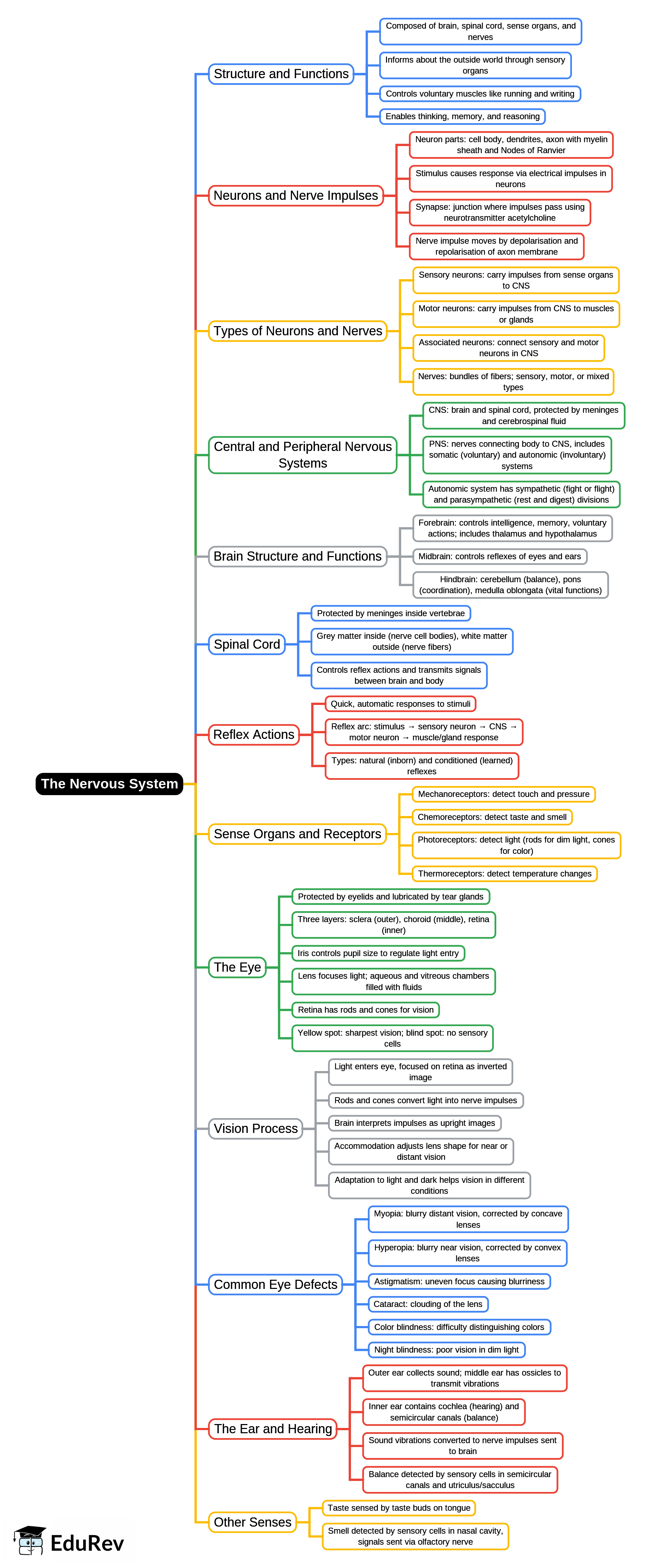 Mind Map: The Nervous System | Biology Class 10 ICSE