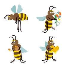 Pollination and seed spreading | Year 3 Science