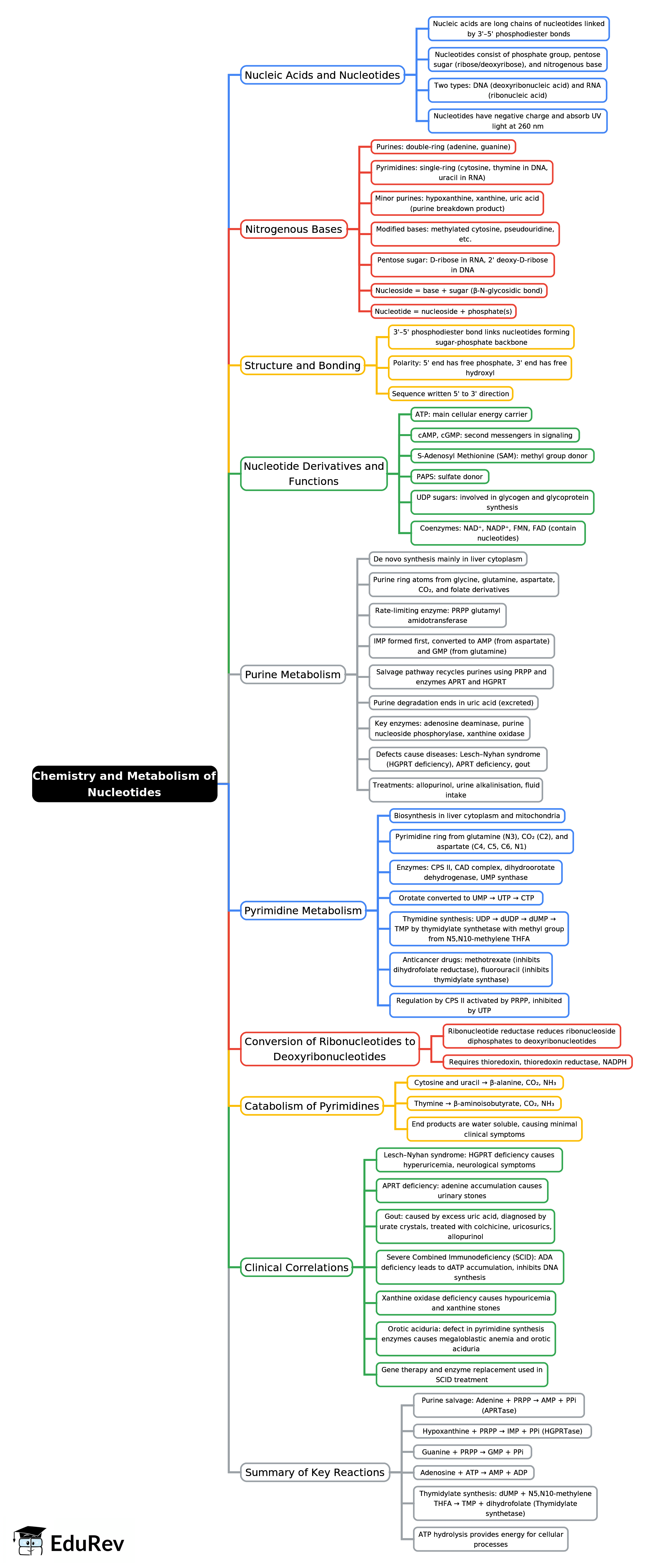 Mind Map: Chemistry and Metabolism of Nucleotides | Biochemistry - NEET PG