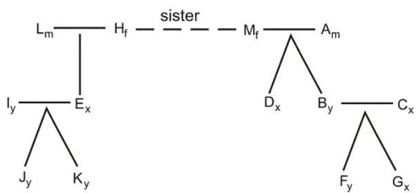 Blood Relations Questions for CAT with Answers PDF