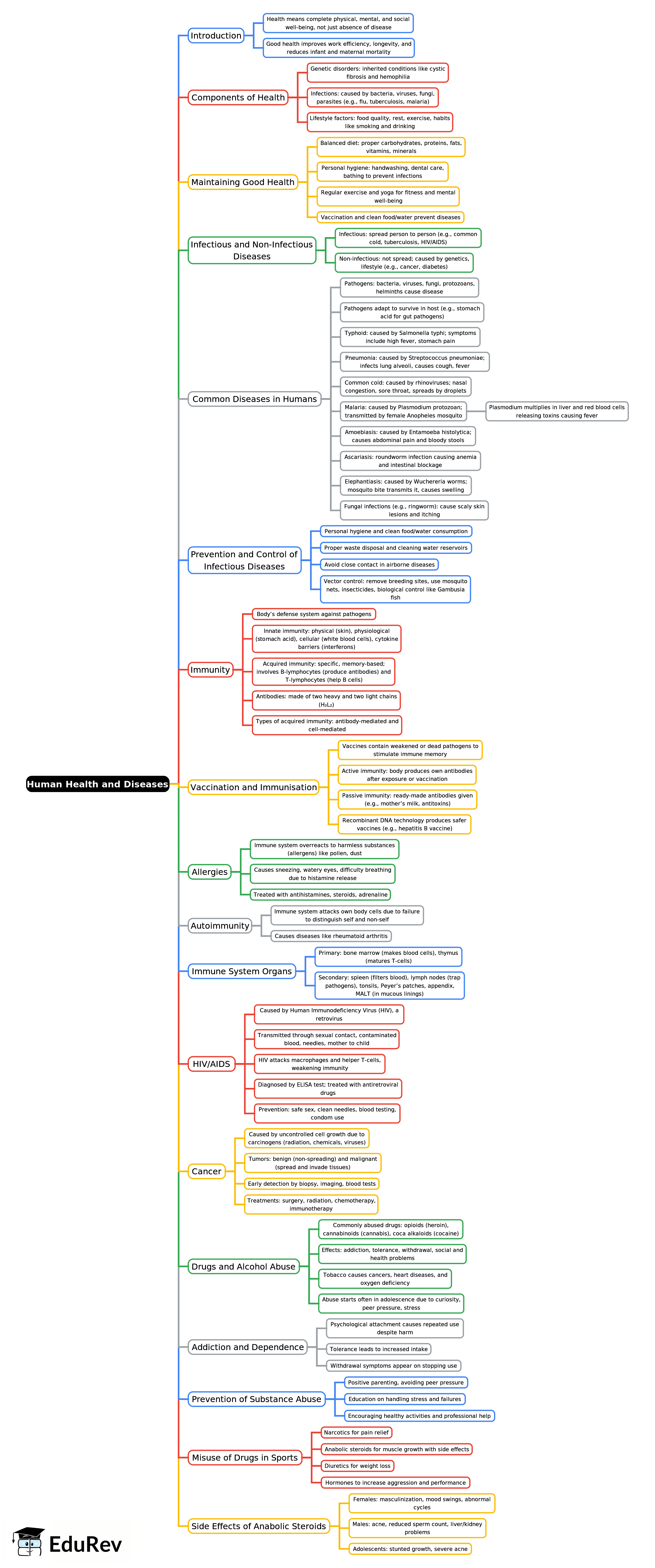 Mind Map: Human Health & Diseases | Biology Class 12 - NEET