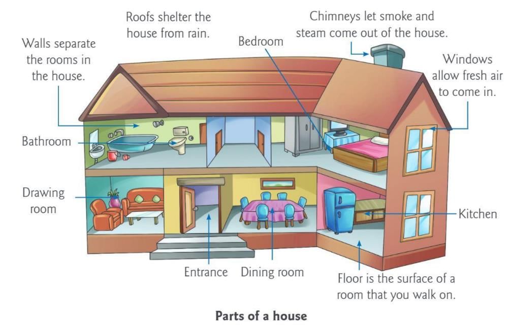 We Need Shelter Chapter Notes | Environmental Studies Class 1 ICSE