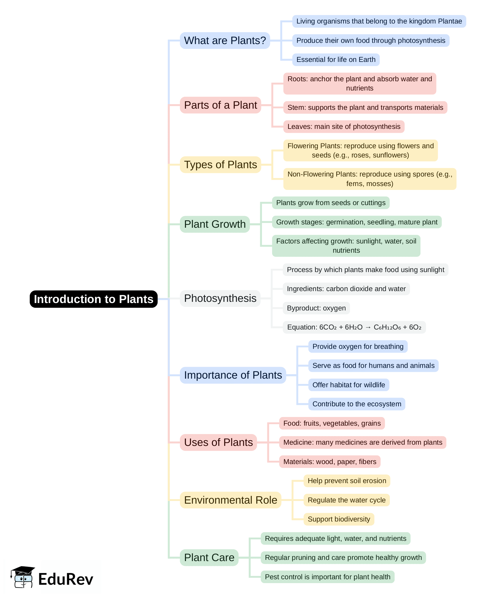 Mind Map - PDF Download