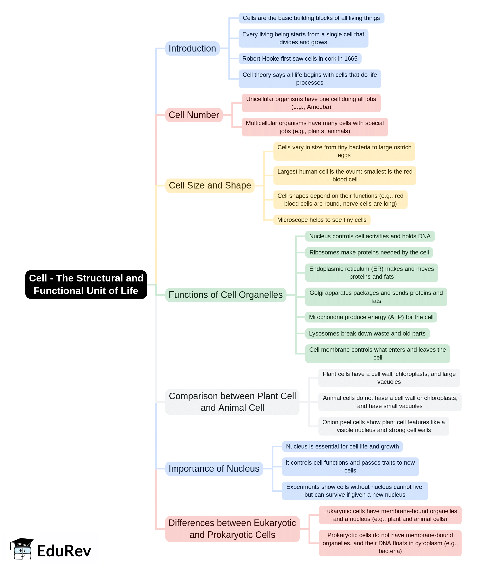 Mind Map: Cell - The Structural and Functional Unit of Life | Biology Class 10 ICSE