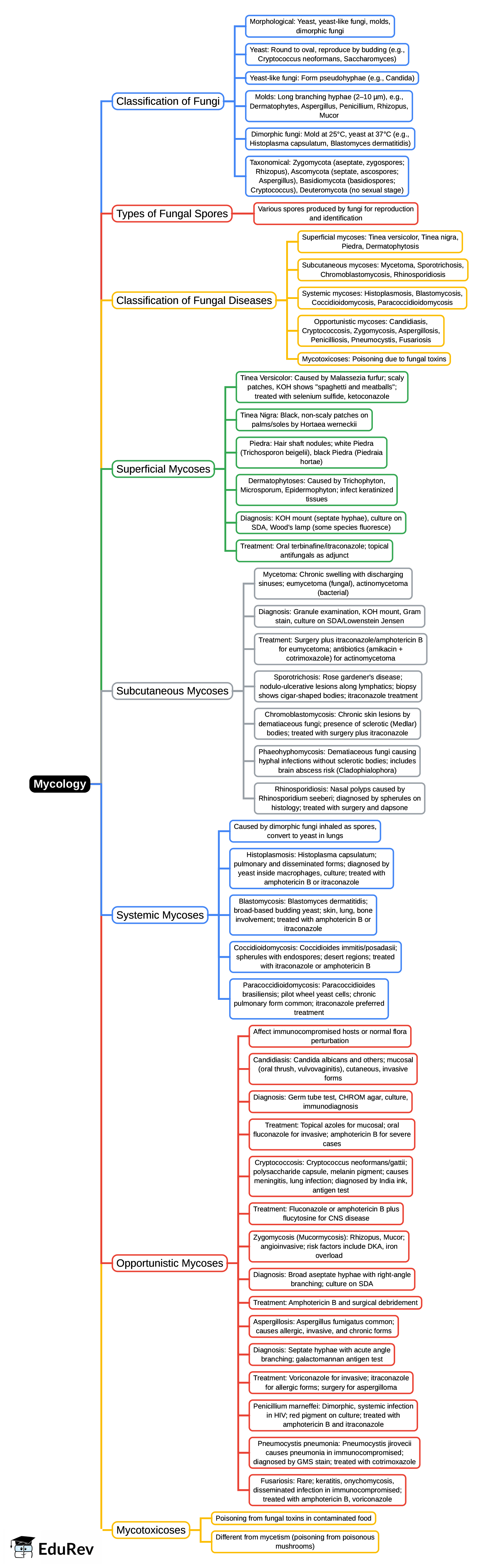 Mind Map: Mycology | Microbiology - NEET PG