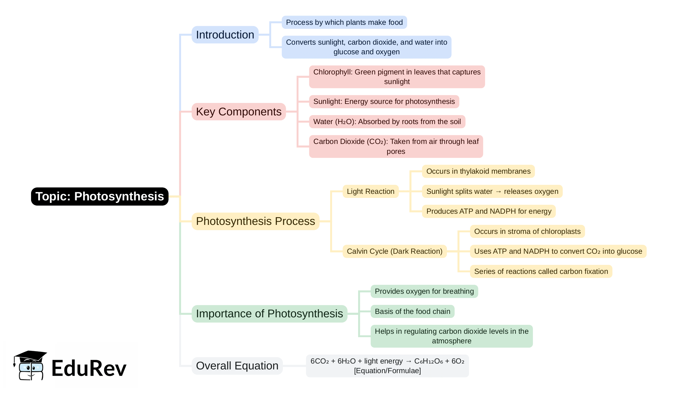 Mind Map - PDF Download