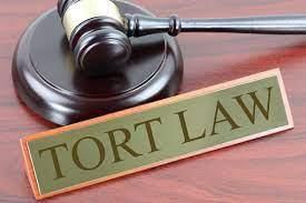 Essential Elements of Tort | Civil Law for Judiciary Exams