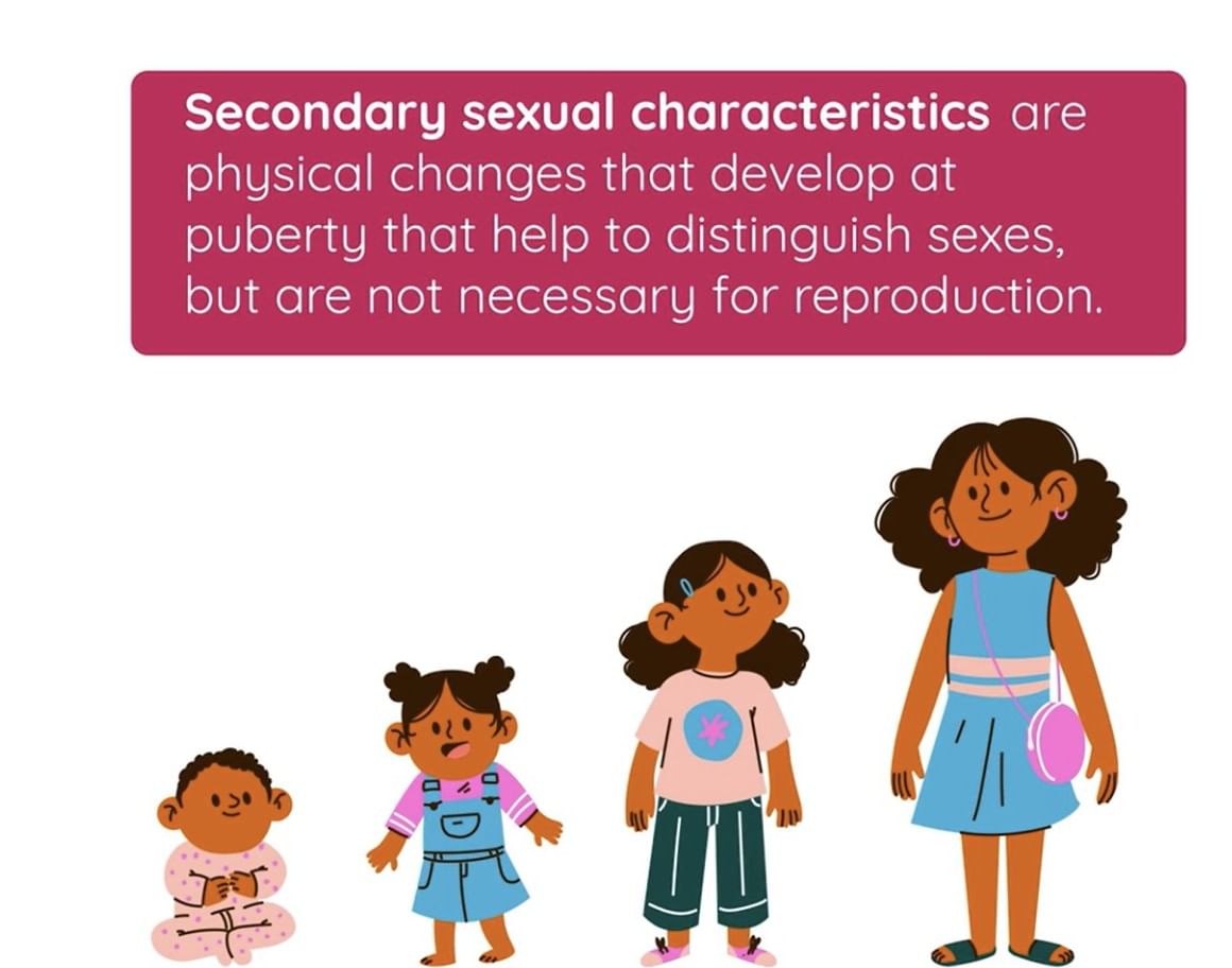 Class 7 Science Chapter 6 HOTS Questions - Adolescence: A Stage of Growth and Change