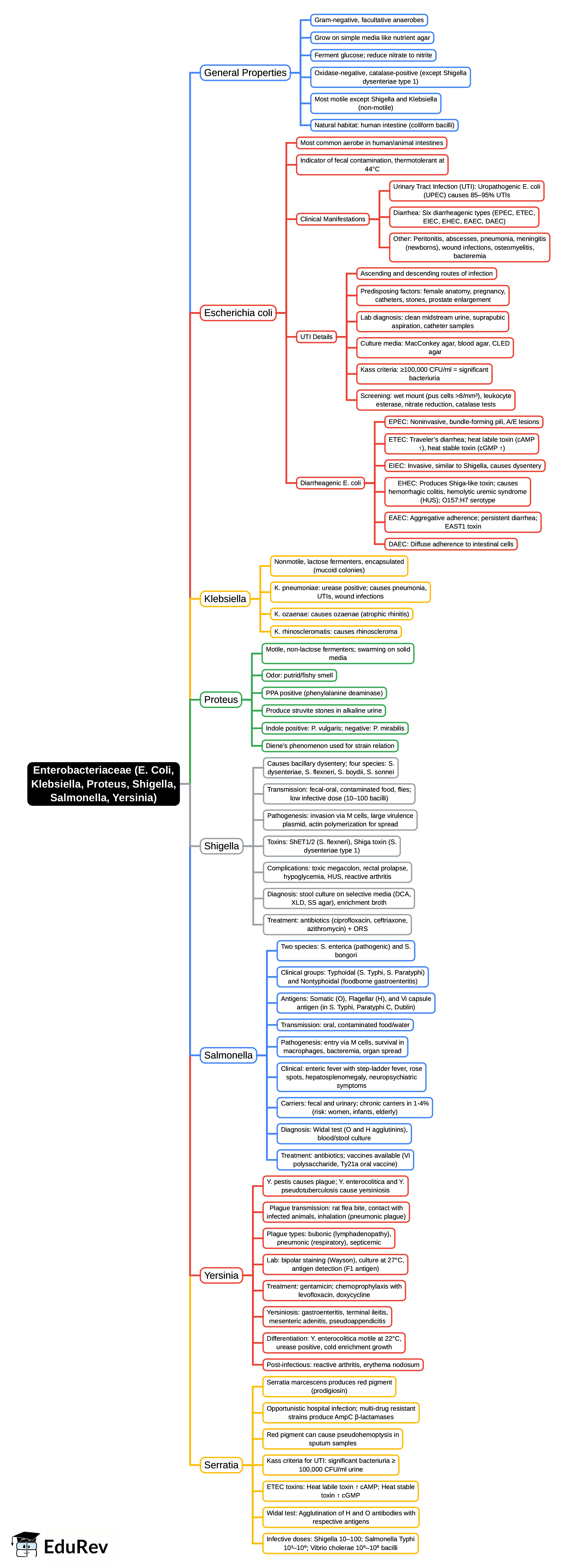 Mind Map: Enterobacteriaceae (E. Coli, Klebsiella, Proteus, Shigella, Salmonella, Yersinia) | Microbiology - NEET PG