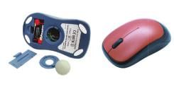 Mouse: An Input Device Chapter Notes | Computer Studies Class 2 ICSE