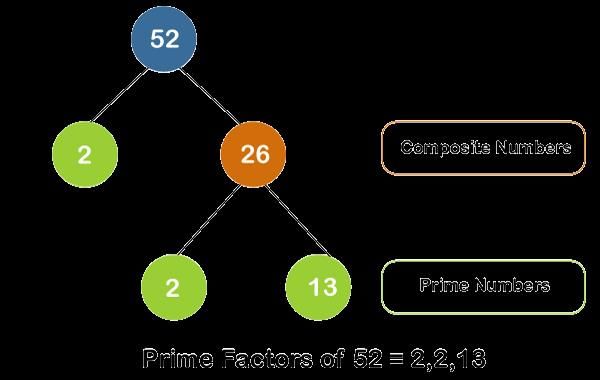 answer Image