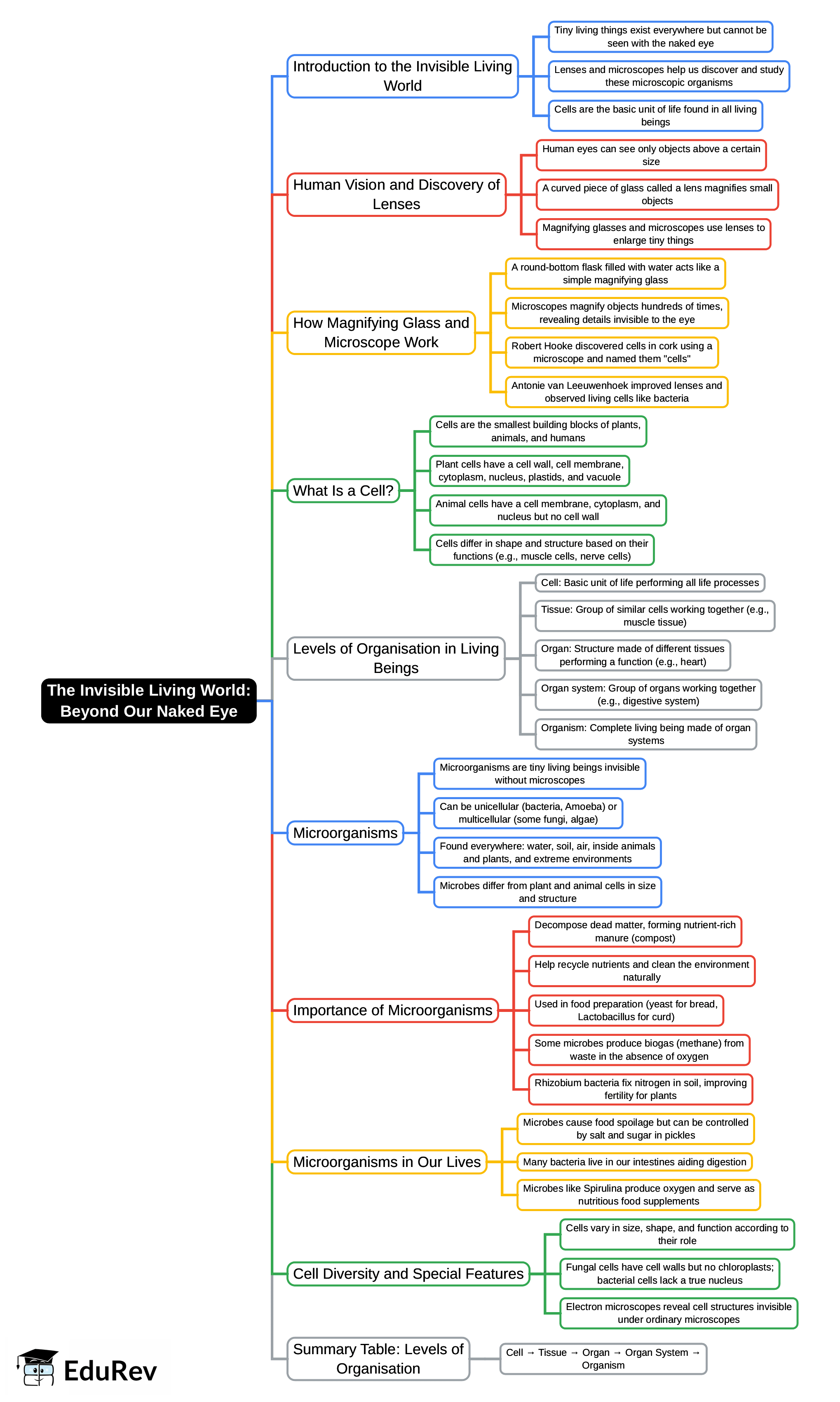 Mind Map: The Invisible Living World: Beyond Our Naked Eye | Science Curiosity Class 8 -  New NCERT