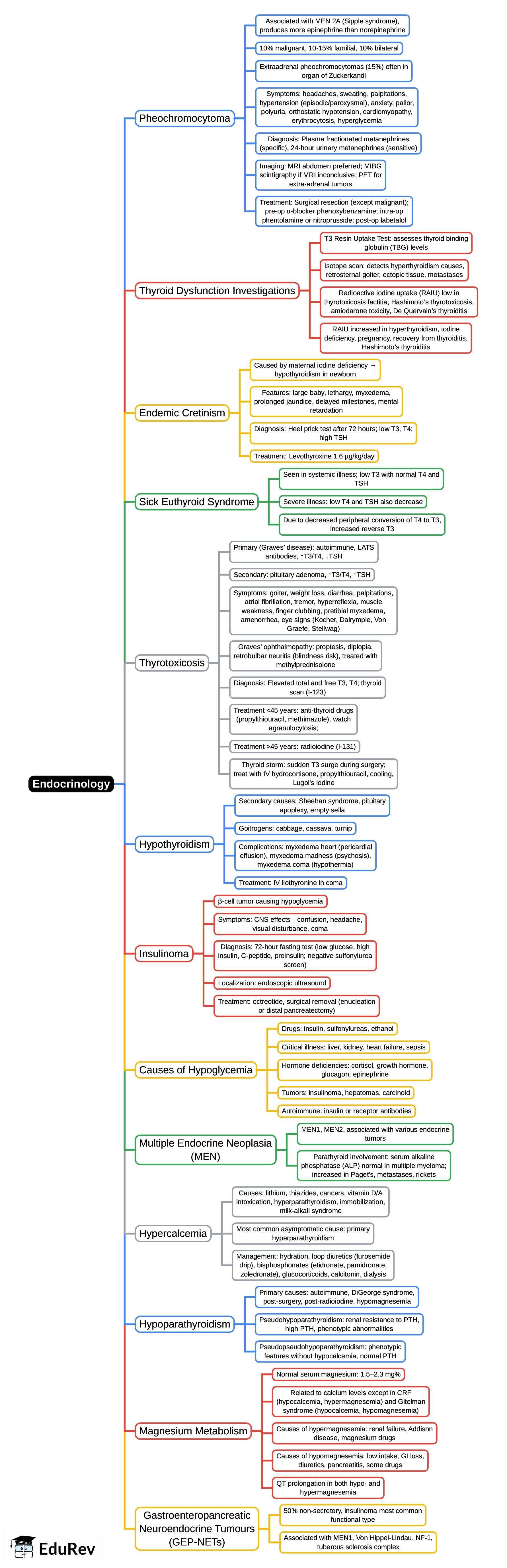 Mind Map: Endocrinology – 2