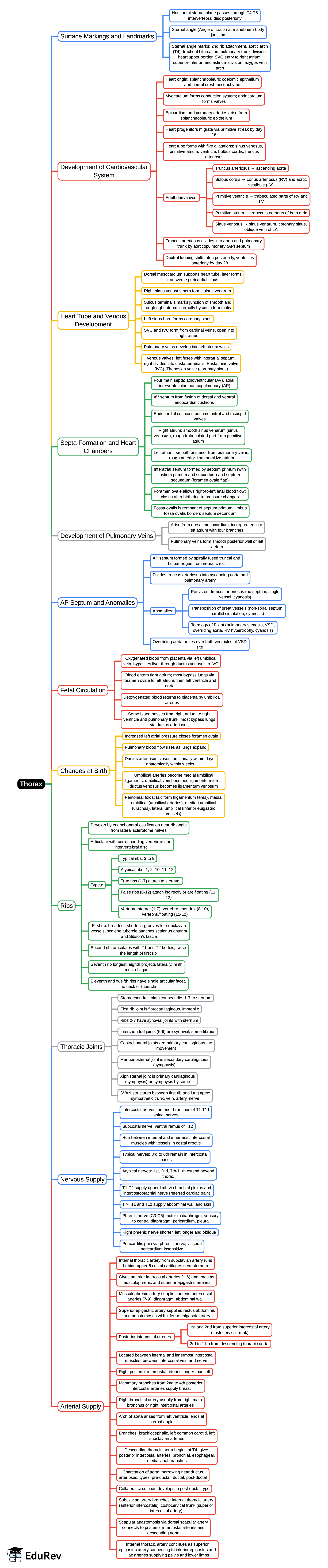 Mind Map: Thorax | Anatomy - NEET PG