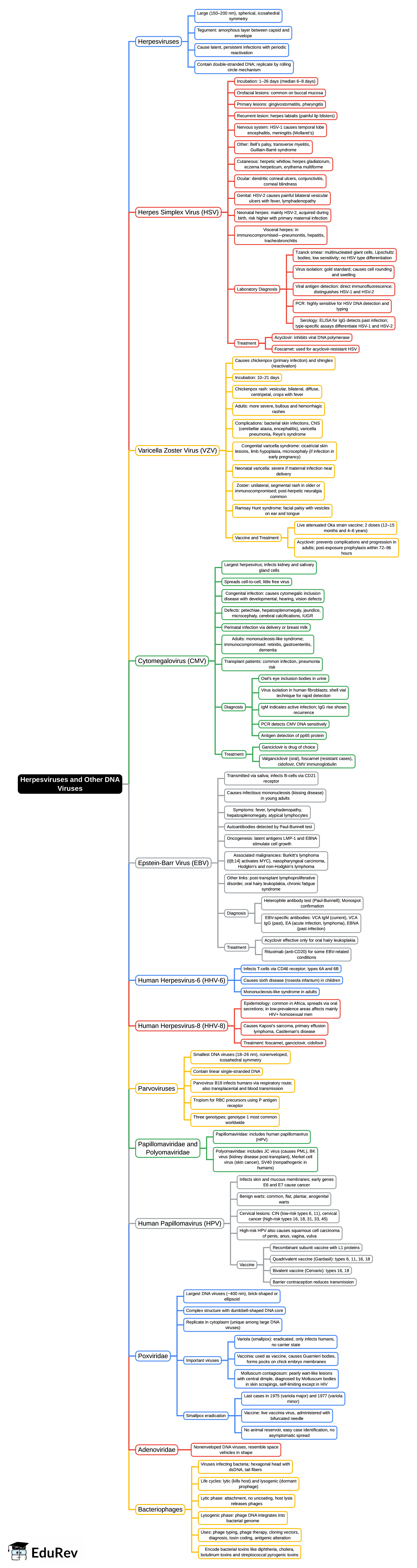 Mind Map: Herpesviruses and Other DNA Viruses | Microbiology - NEET PG